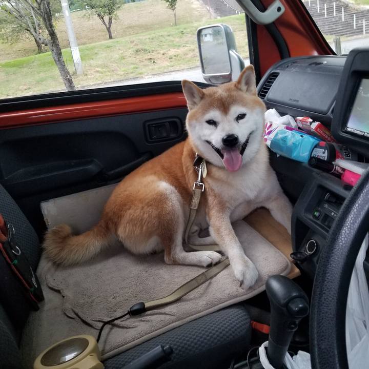 4ddeccff 846b 4457 99b8 4af3ee705aea 1663489835900