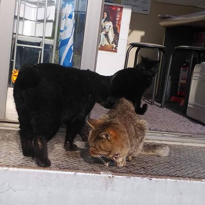 4ddecd0c 5843 44f1 8151 14189cca6c08 1648207066875