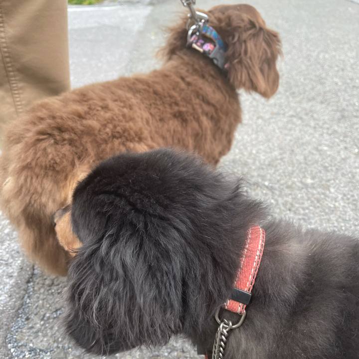 4ddeecad 6869 4ed7 aa63 32b736e49da6 1620186258655