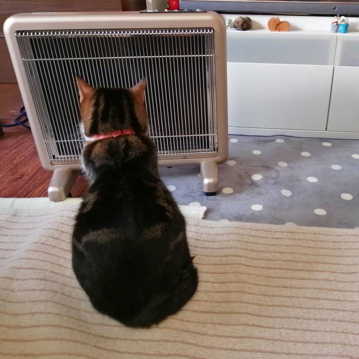 4ddef22d 4fa3 4376 8528 d2e84c773f33 1574314309115