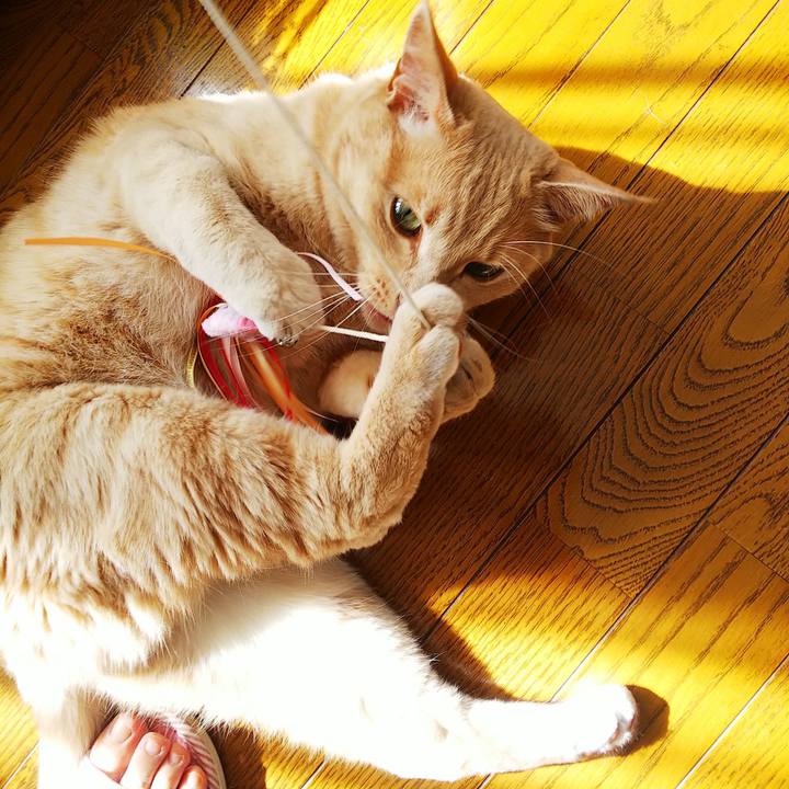 4ddef73c bdf8 436c 8cb7 be4d7457ddaf 1627688936404