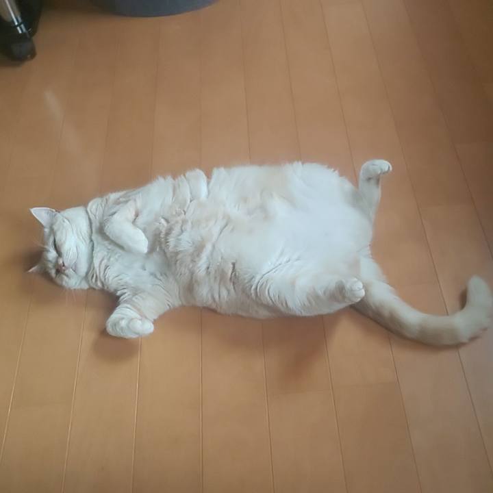 4ddf0c23 4a05 4db9 8c6f 89618129a0a1 1591828626017