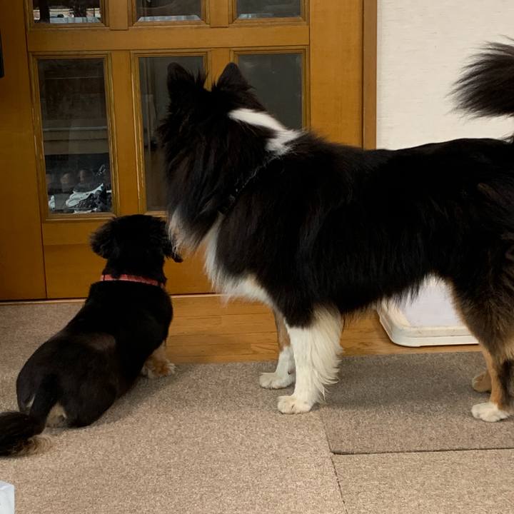 4ddf0eeb 6d14 4a69 a05a 2774cc663ec3 1564270866254