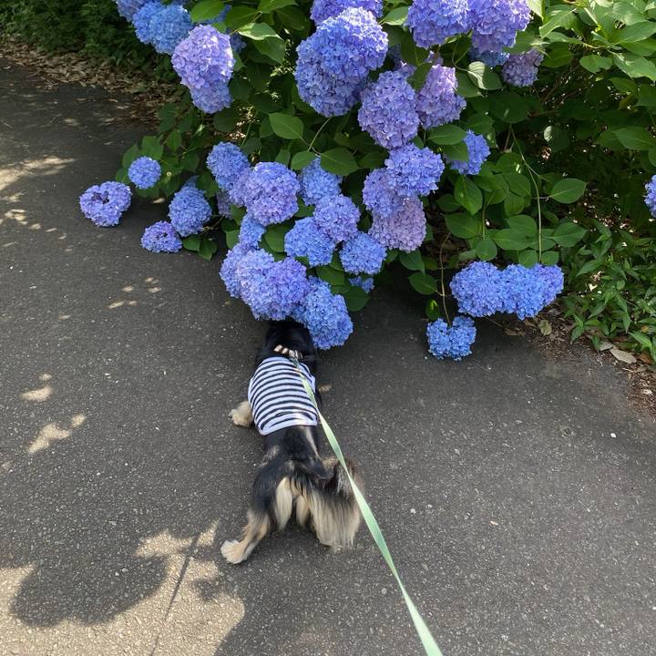 4ddf49aa 1bc6 48db 9f01 5ff0a0cbfb91 1718489140758