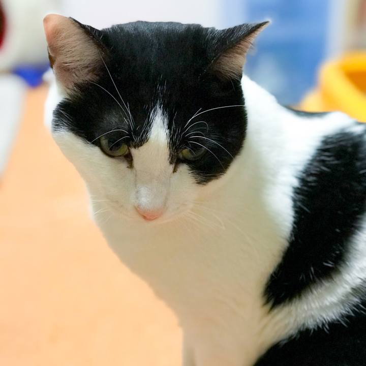 4ddf54a7 0d34 463b 9788 90294e5415ad 1512782775188