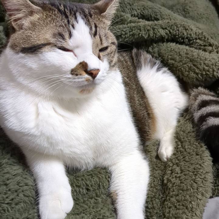 4ddf96bf febf 4b97 a638 fb88baa4e039 1696817973814