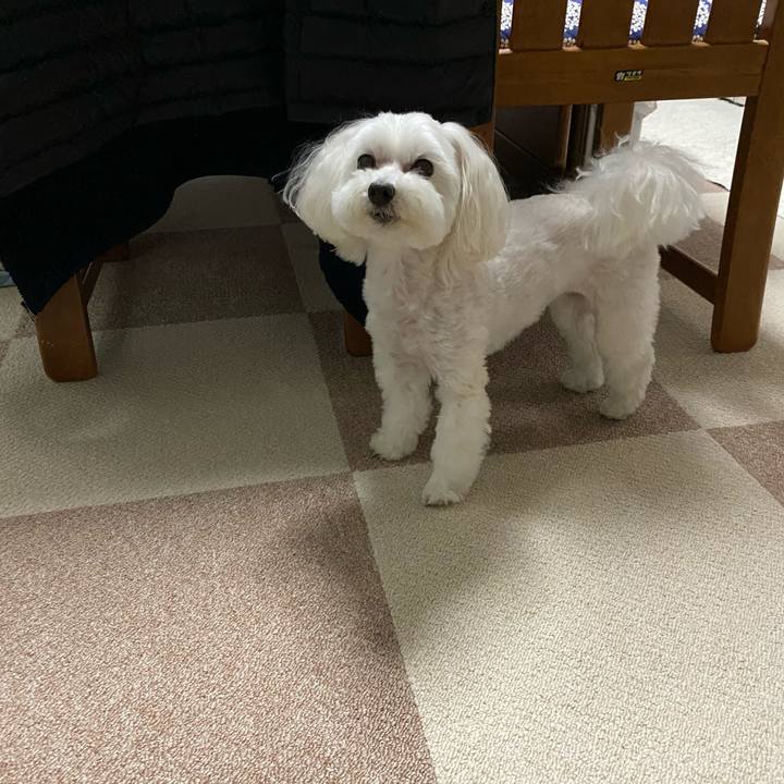 4ddfdbf8 2836 4088 8434 93fd6f0ff507 1615195344143