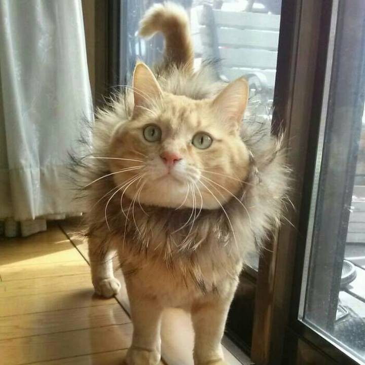 4ddff04b 263c 4c03 9104 1936d77dfef2 1518608719677