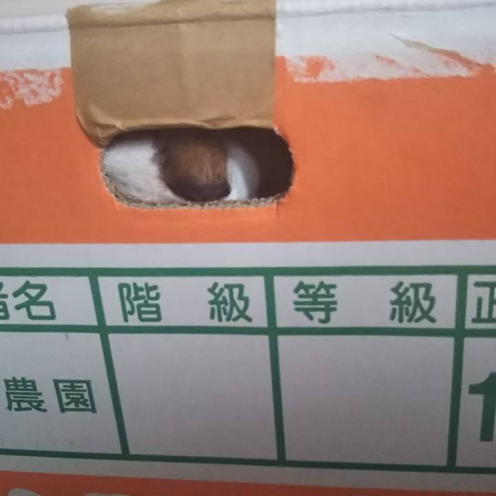 4ddfffcf 7257 42df a342 a6aa8026fa9a 1606312985390