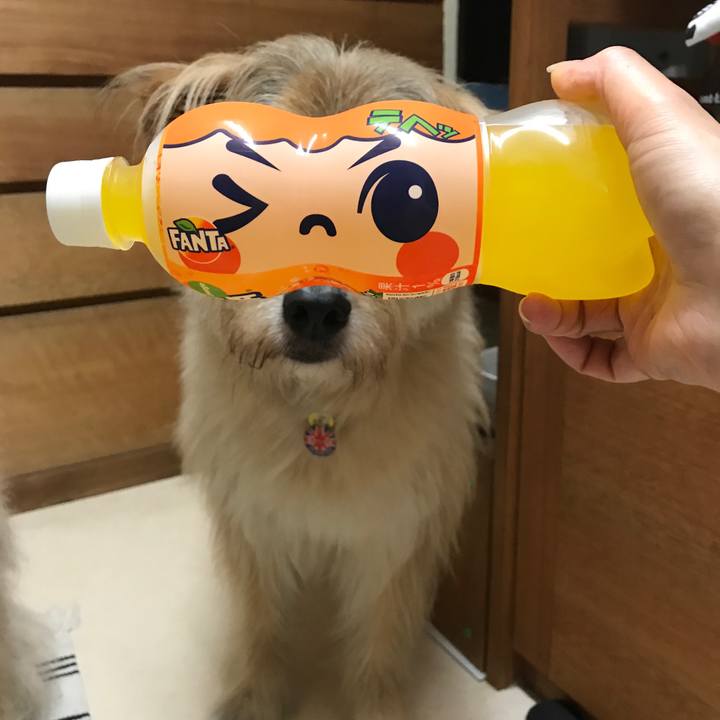 4de00d32 a27c 4a56 a2ff bc8569ce2aa3 1562155371322