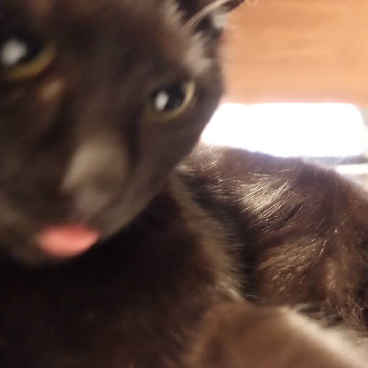 4de01768 ba43 4bdd bde1 b4bbfd56ee52 1529767587945