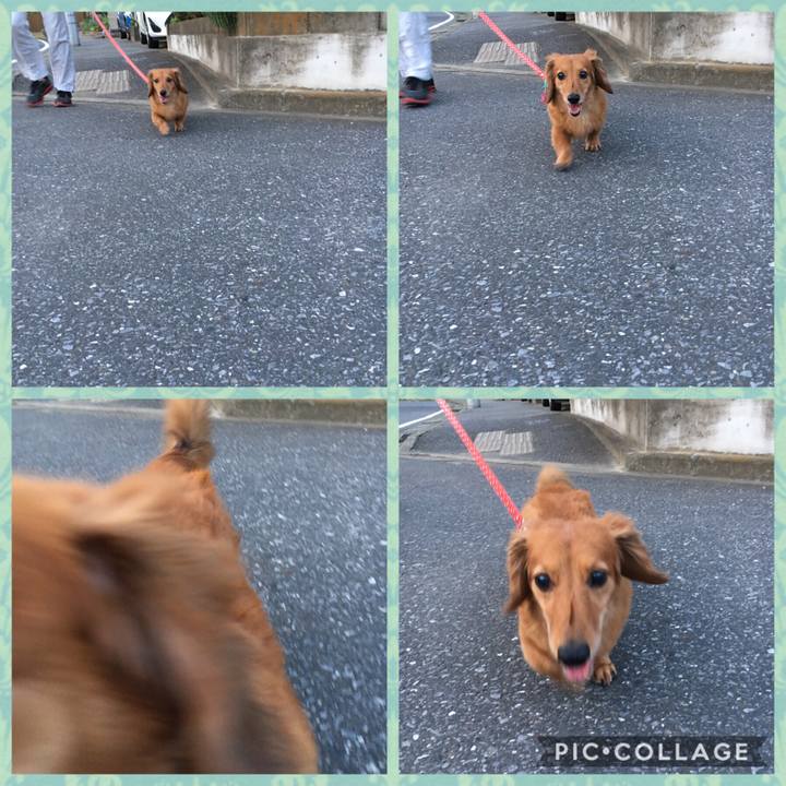 4de09d0c 43df 4870 a915 fad5e0eb1986 1528027875879