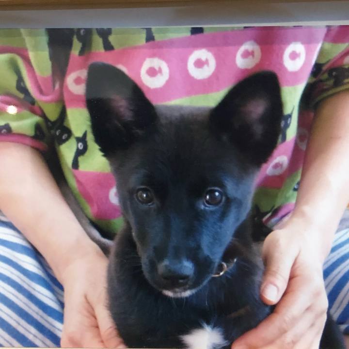 4de0bb15 d359 4239 8e8d dc214e6fc27e 1541316240380