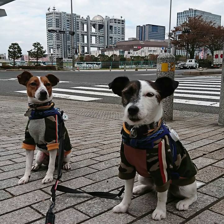 4de0c8c7 51de 405e ae77 52ba5bf56563 1541560315289