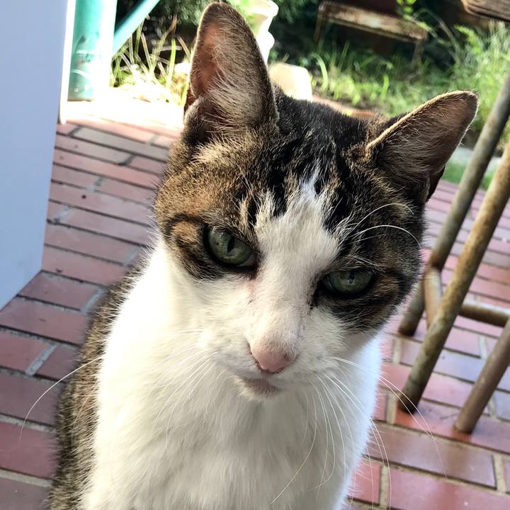 4de0e43d 0da7 44fe 87aa 1c5e6eb43692 1603943685265