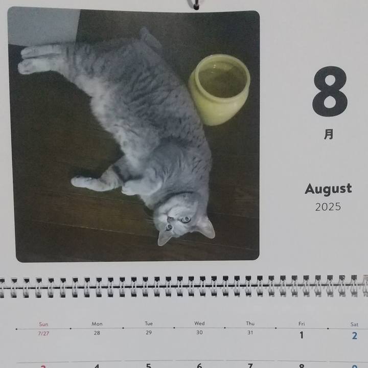 4de0f611 f96f 4c53 9d1c a108d9d6fc72 1754056671730