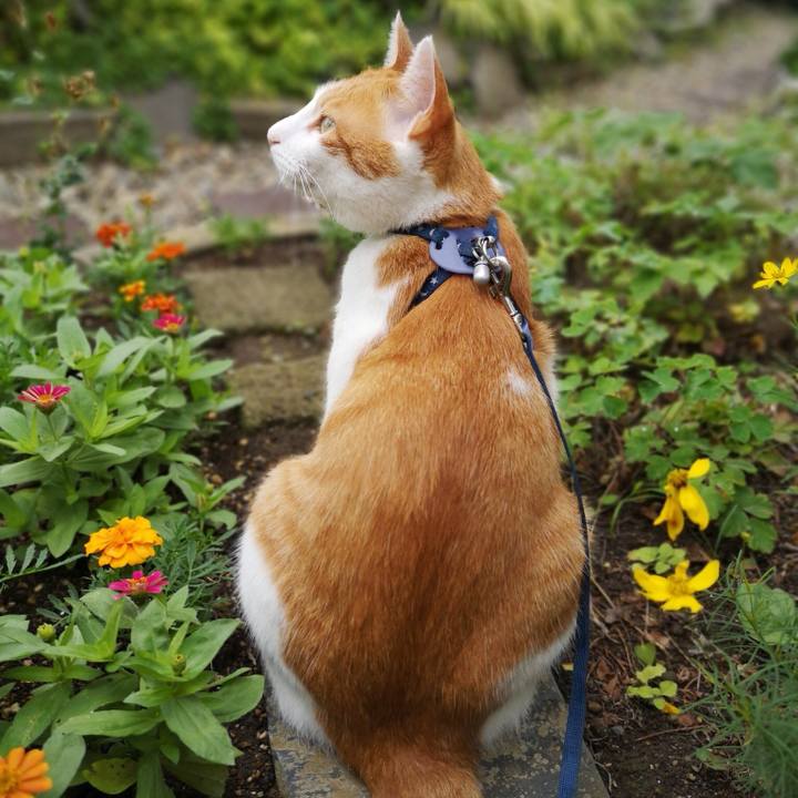 4de0f750 ce94 400d ba36 53270915f279 1531041281742