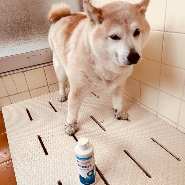 4de14878 7716 4364 92f1 6c63b12a27e0 1739689085574