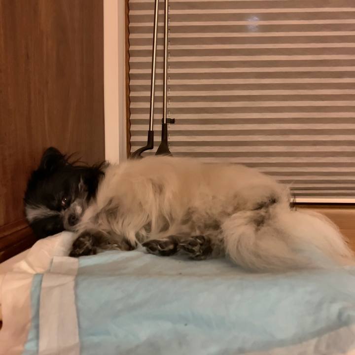 4de16592 528b 4133 9b6c facb4cb3335f 1589113849996