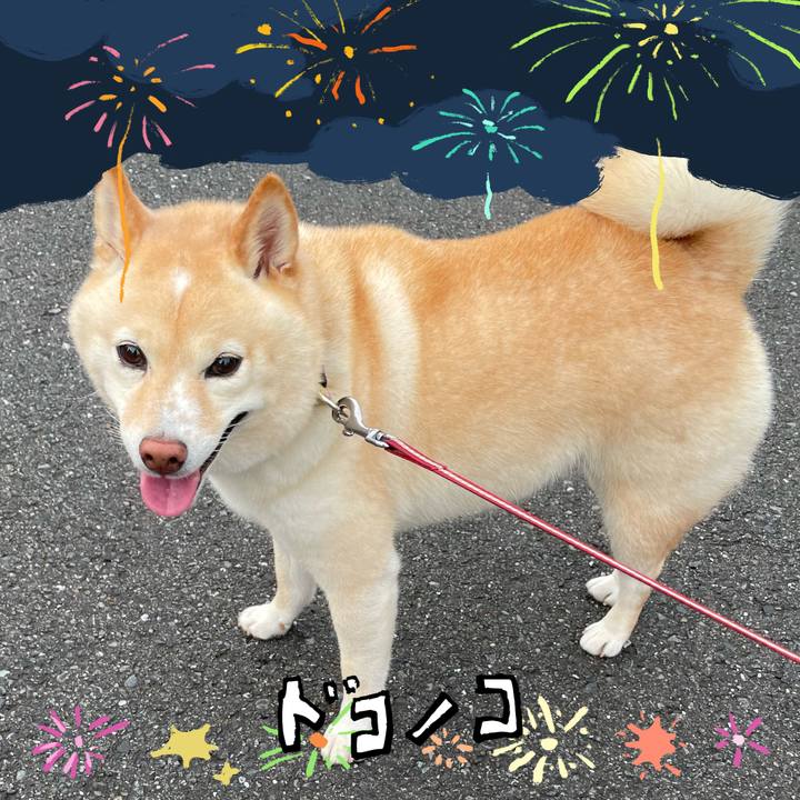 4de19bd5 31fb 4e6b 801b bfd319b027ae 1723297253231