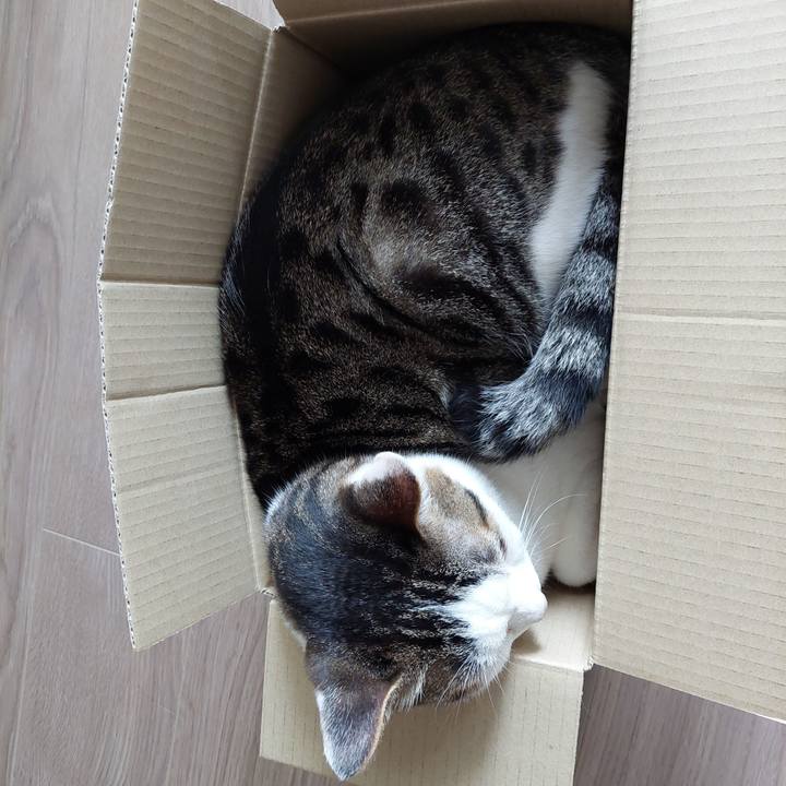 4de1aff5 217e 45a2 8053 1b148e6d086e 1654297189432