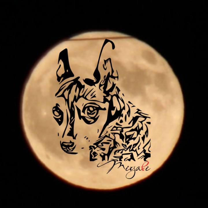 4de1fb67 c5d0 4b6a 8d35 7ea09a549da6 1754753661814