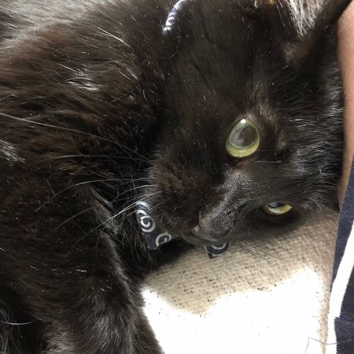 4de22de6 dfd8 4524 bcca dce5fca1e34a 1556279078998