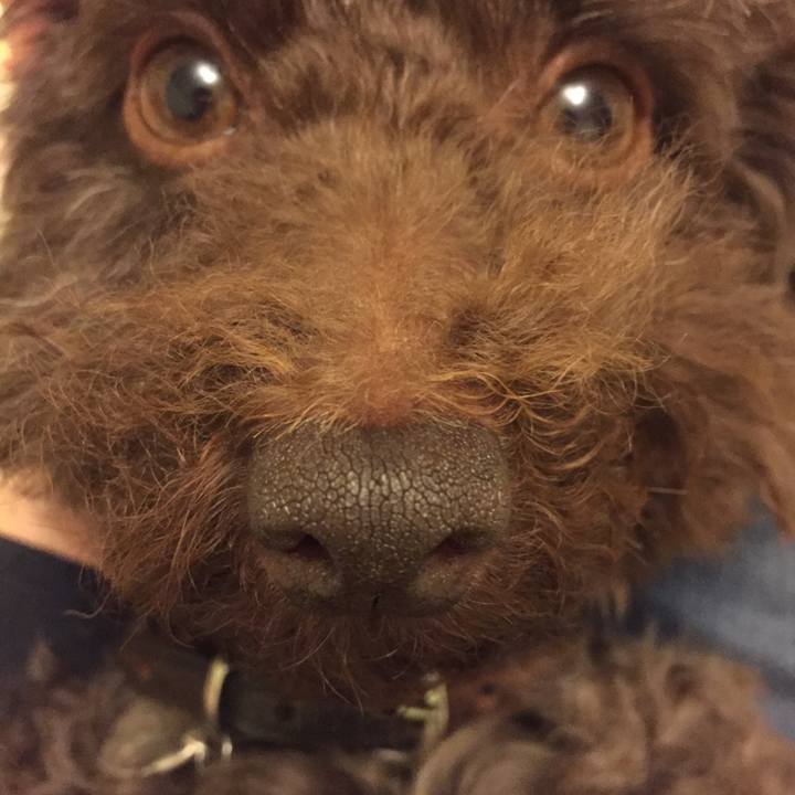 4de238af e862 4c74 99f1 92589be3b5bf 1523486112631