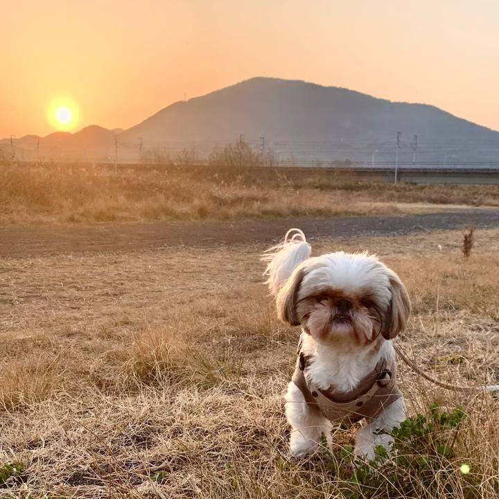 4de23de0 0d8f 4232 80cc 426831c45d9d 1647086005999