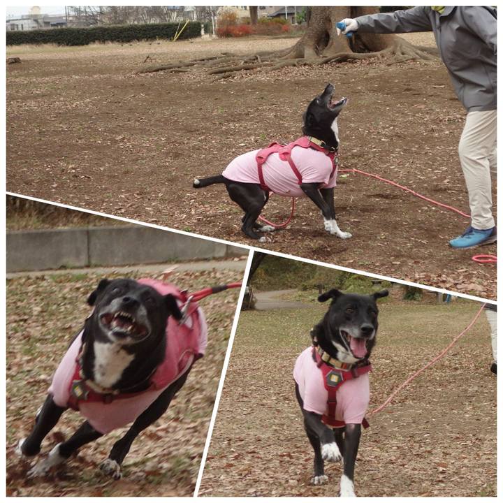 4de2751c 2f22 43ca 9568 8df47236db92 1702949937001