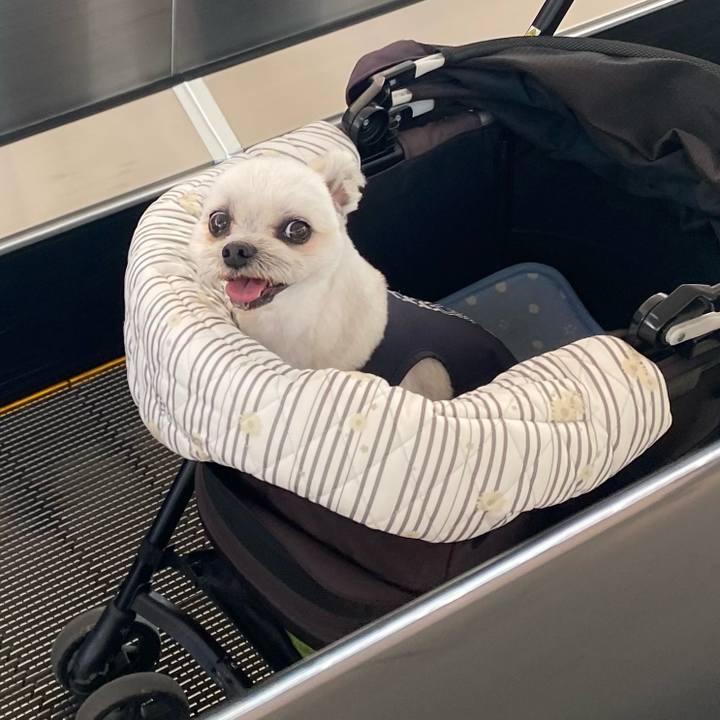 4de29749 76d4 41e7 8426 c1f4c5ed0565 1728993500585