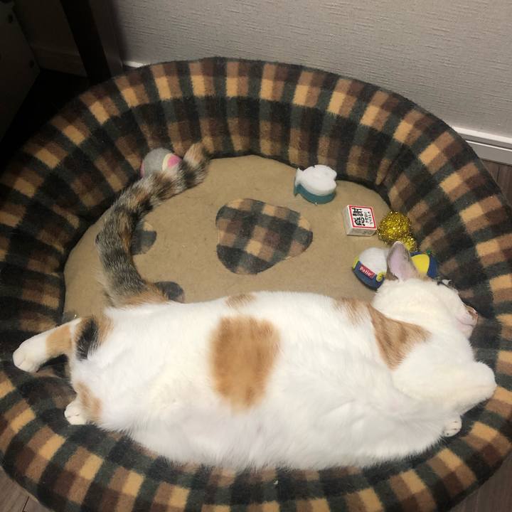 4de2c1cd 2f76 48c6 befb c3022d4913ea 1588166277443