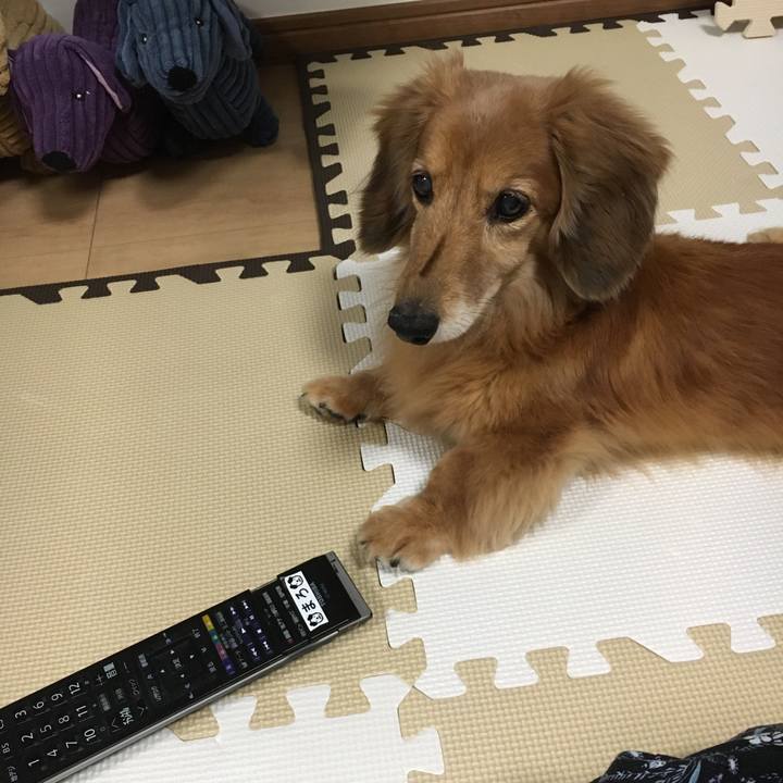 4de2e9e7 64bb 450d 8495 f941733e2ca0 1631793179653