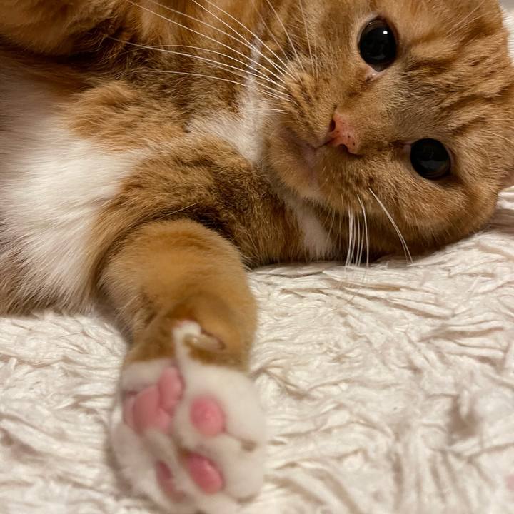 4de31a0a 2fc1 44b9 9281 98a291099dde 1670590600374