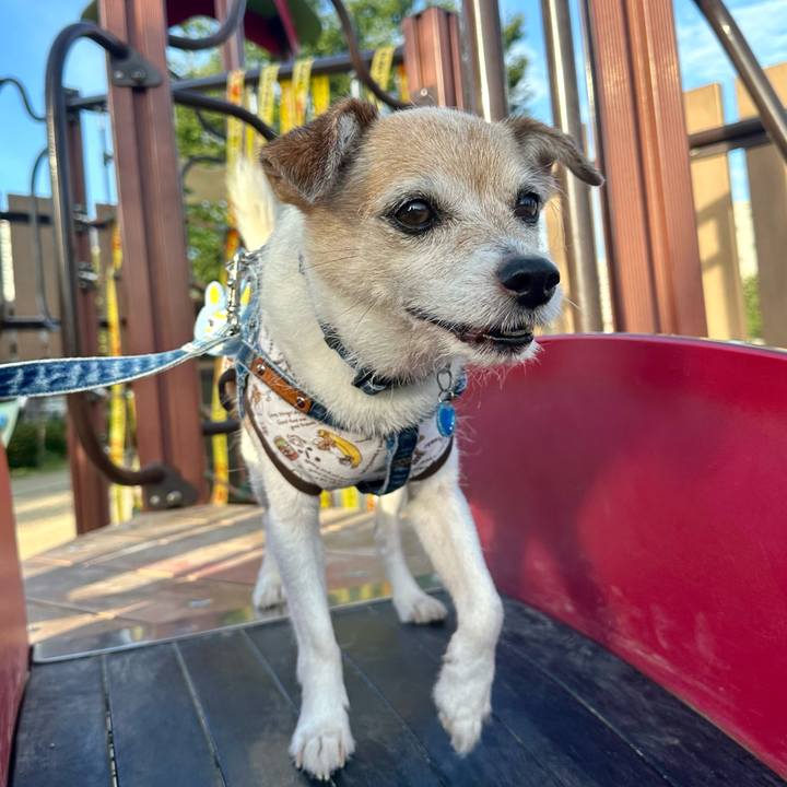 4de38909 1c58 445f 85d3 950171af94f0 1689467110184