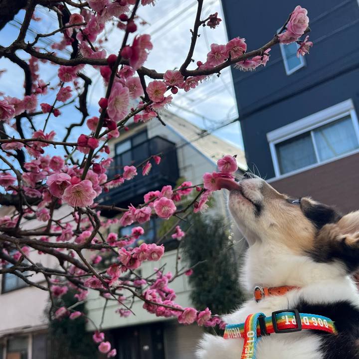 4de38939 8d32 4b73 b7cb 36bb739d67f9 1771654040754