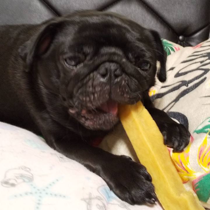 4de3b886 b59d 4f1d 8add d7caf03473e2 1596806027229