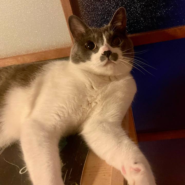 4de3cc6a 546a 40cf 9dbd 60af7d4f5237 1650905652033