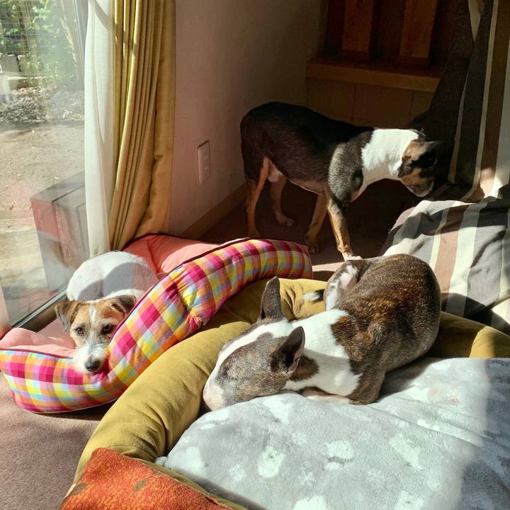 4de3f444 b198 4c47 8620 4df54b0635fe 1602998287162