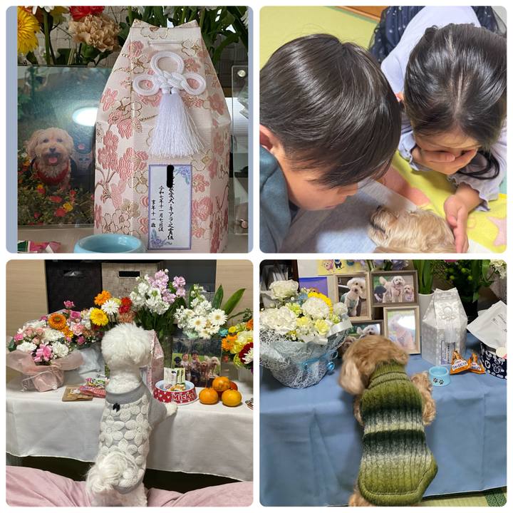 4de3fe2c b047 4783 a812 0c77745dc104 1762757678481