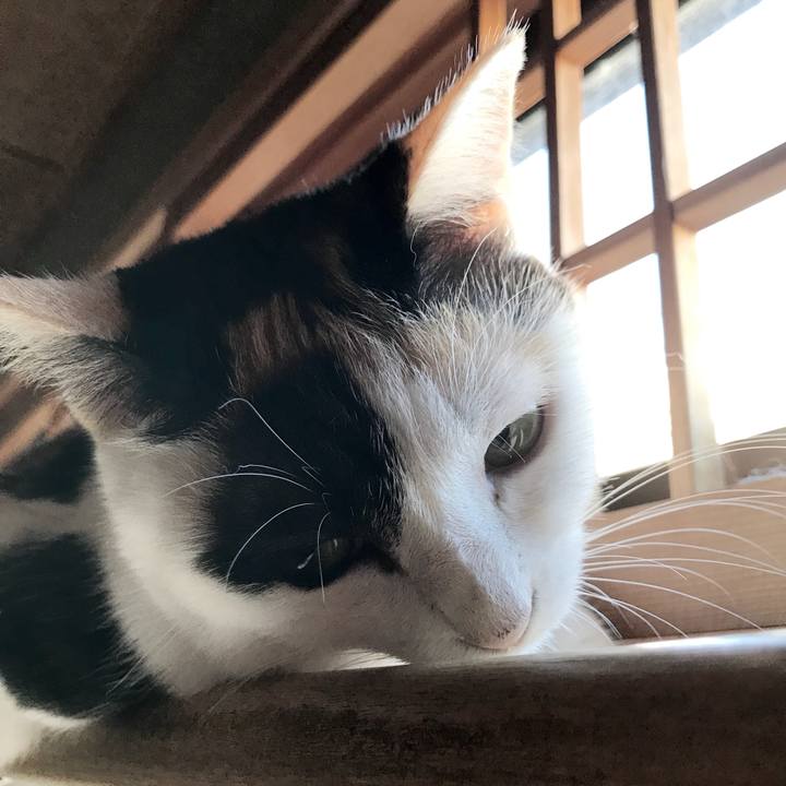 4de41929 77bb 4a69 a9a8 9cd762df2d55 1536458576075