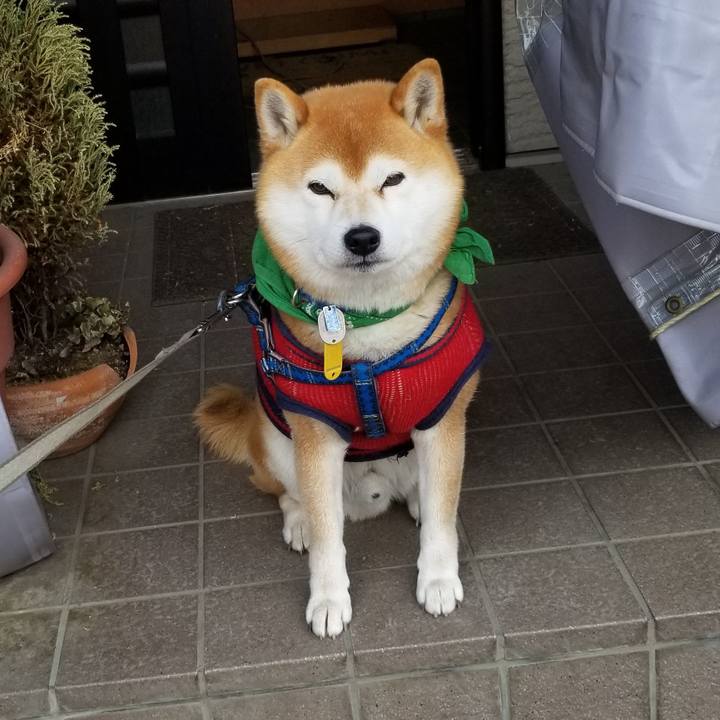 4de46ced adfb 42b2 a438 072ef40397ed 1561597061225