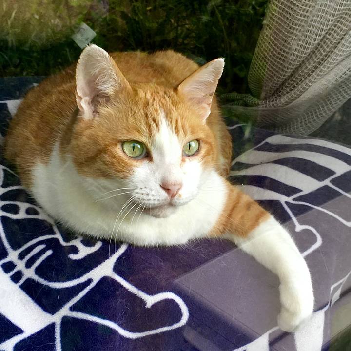 4de46d5f dd63 4b99 b2c2 d8ad789ade4b 1589351809463