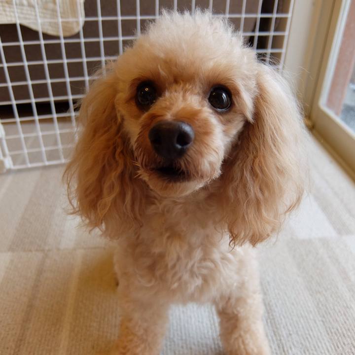 4de49705 39bc 4bce a1cd 5559f1162316 1530660228798