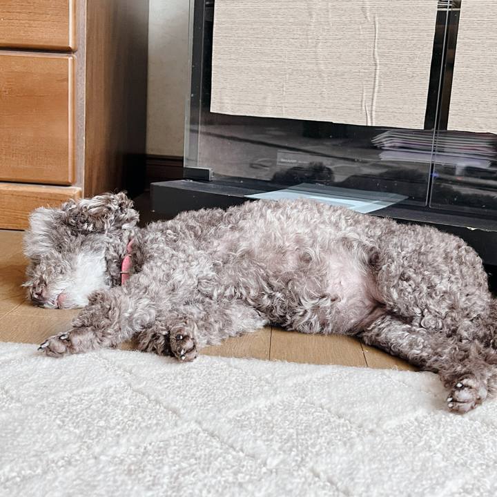 4de4b0e0 34e7 4bff 8c6a 40faa6d52e7e 1692248578196