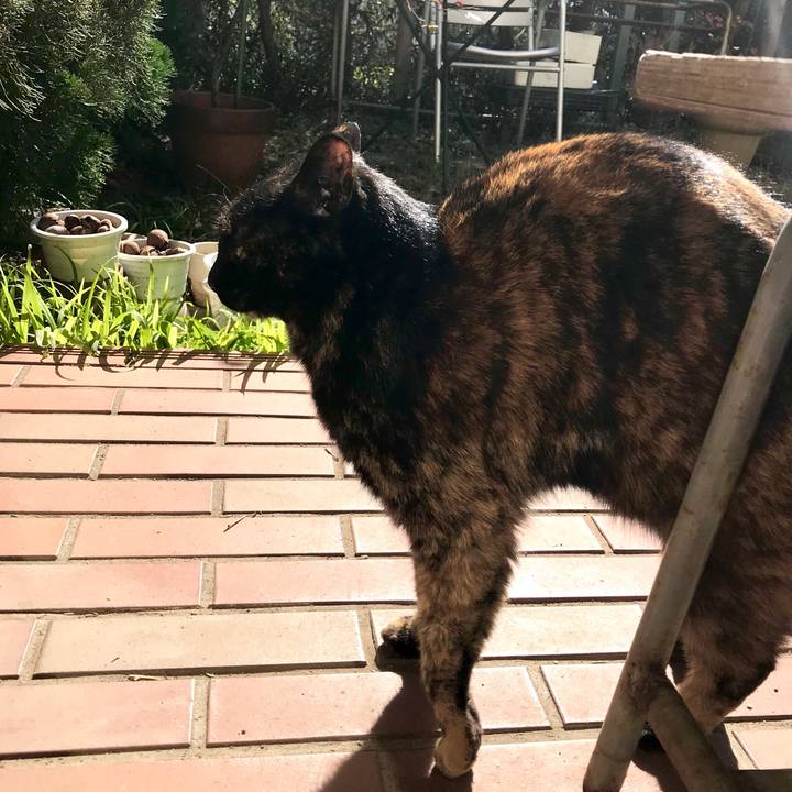 4de4cc7b f040 4987 9576 9223a28a295a 1518146017865