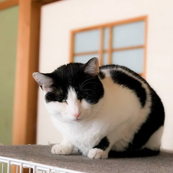 4de4eda4 e34c 4c68 bb26 9da78a6dab1c 1589417219227