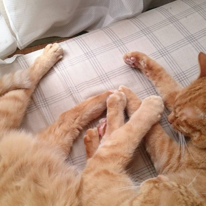 4de4f56c 10e5 45c4 8f3e a1b20db5756c 1529813238543