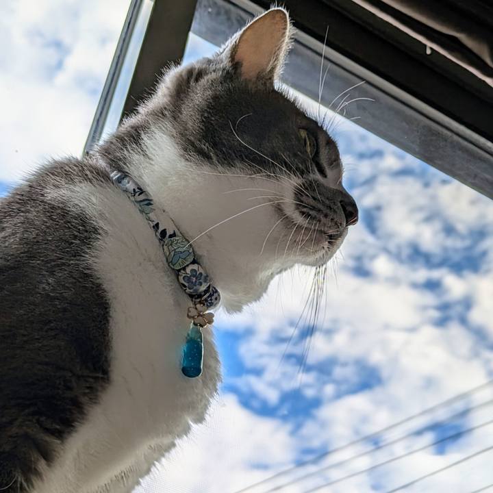 4de56da2 cf2f 4a2e 8bd2 3800d90b1b83 1729380953244