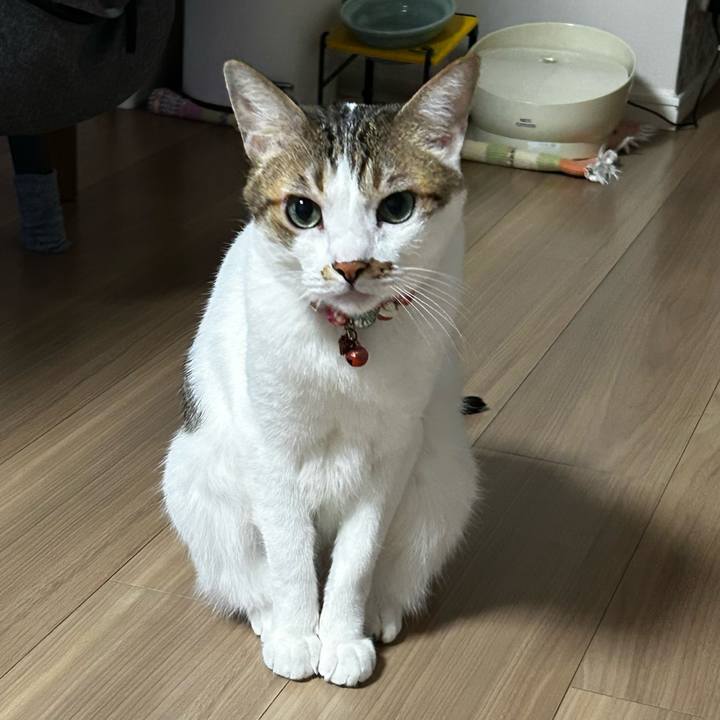 4de57dde bc03 4306 9a1c 027c1fbcd82f 1756852916411